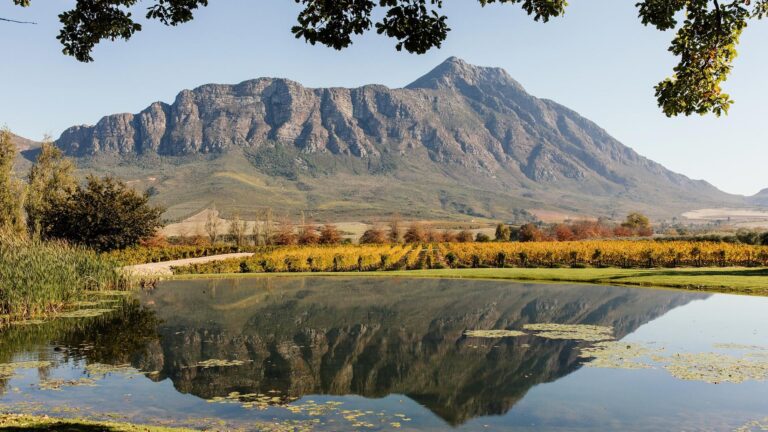 Saronsberg Cellar 768x432