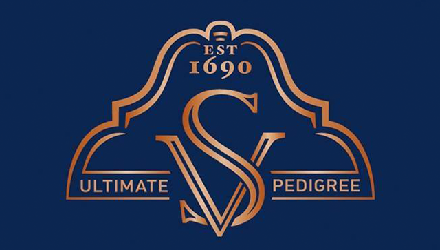 Stellenbosch Vineyards