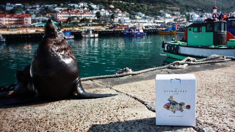 The Fishwives Club hero 768x432