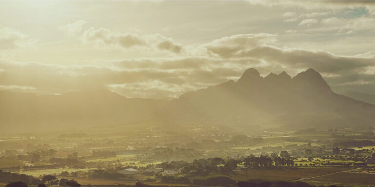 SOFS Banner image 1 768x384